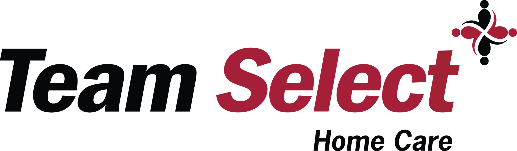 Silver - Team Select Logo