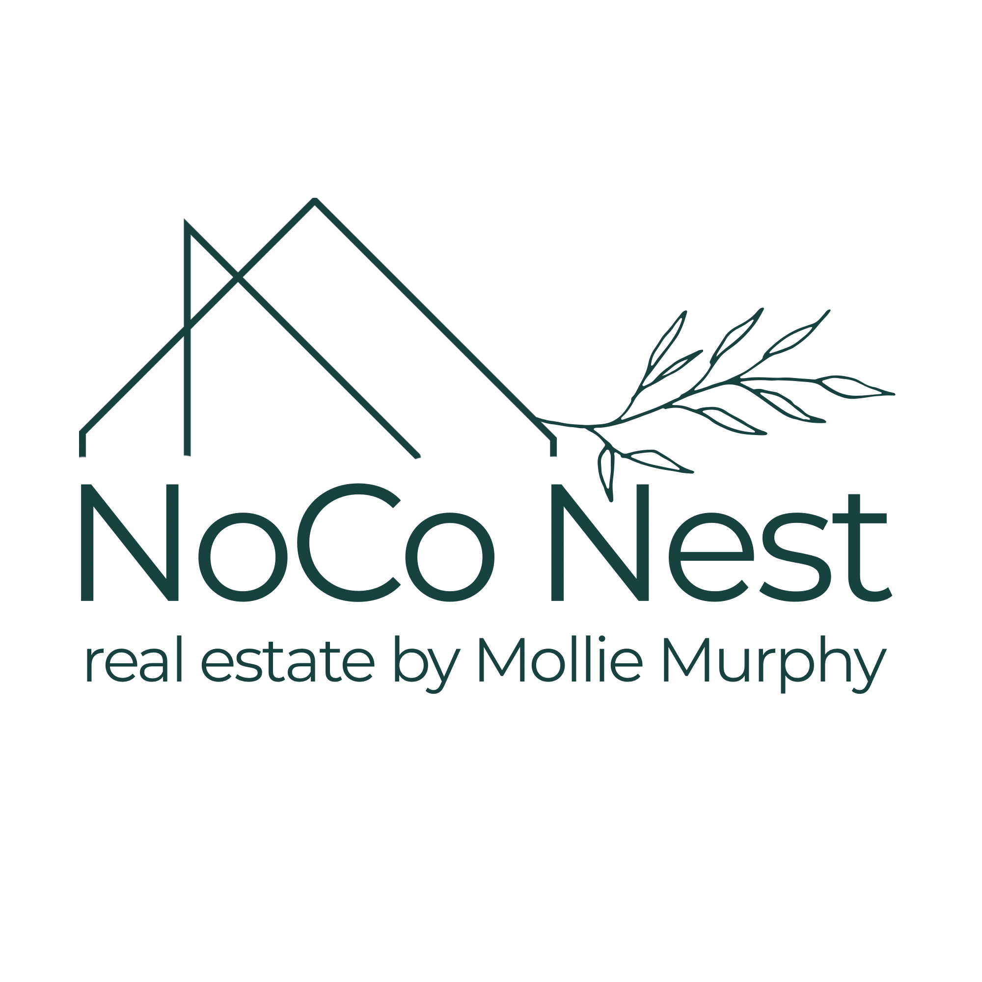 Silver - NoCo Nest